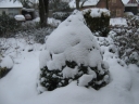 Appelscha_281229.jpg