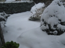 Winter_in_Appelscha_005.jpg