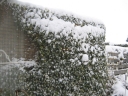 Winter_in_Appelscha_006.jpg
