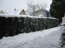 Winter_in_Appelscha_010.jpg