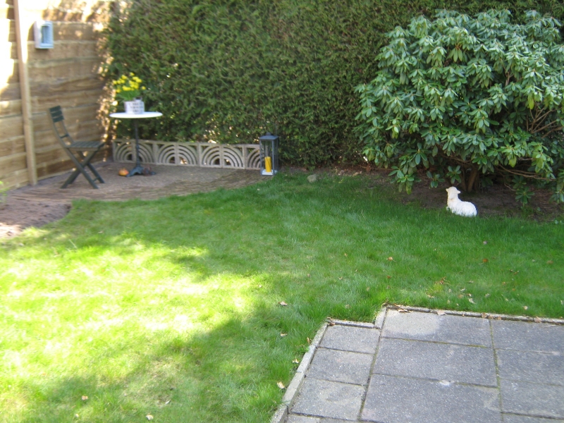 IMG 1551
