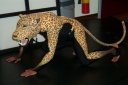 Week_32_jaar_2_281429.jpg