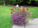 Filename=IMG_2071.JPG
Filesize=2473KiB
Dimensions=2048x1536
Date added=Jul 16, 2014 IMG_2071.JPG